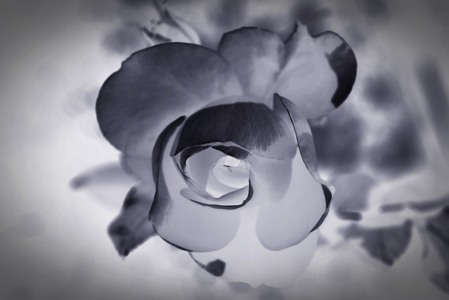 caring-grief-support-funeral-640x480-54509044.jpeg