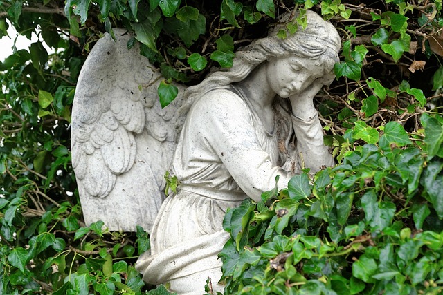 caring, grief, support, funeral