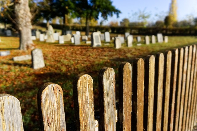 caring, grief, support, funeral