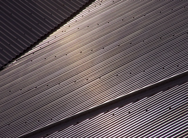 Colorbond Shed