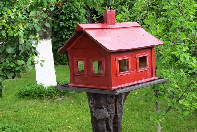Colorbond Shed