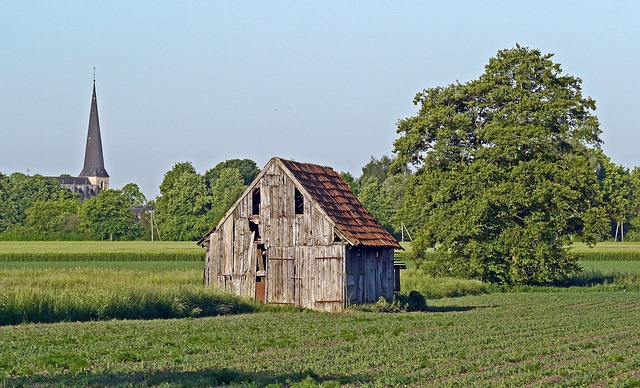 Colorbond Shed