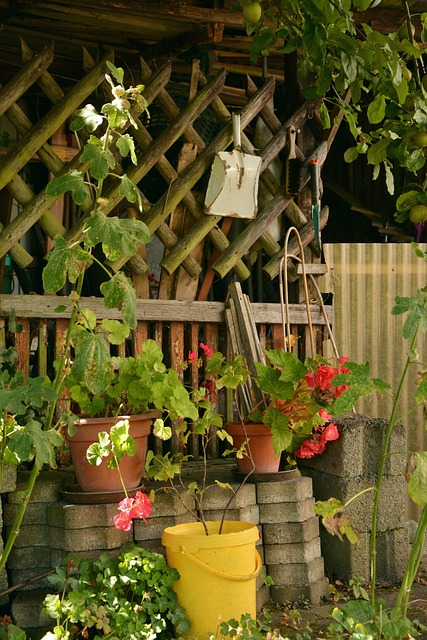 colorbond-shed-640x480-78466573.jpeg