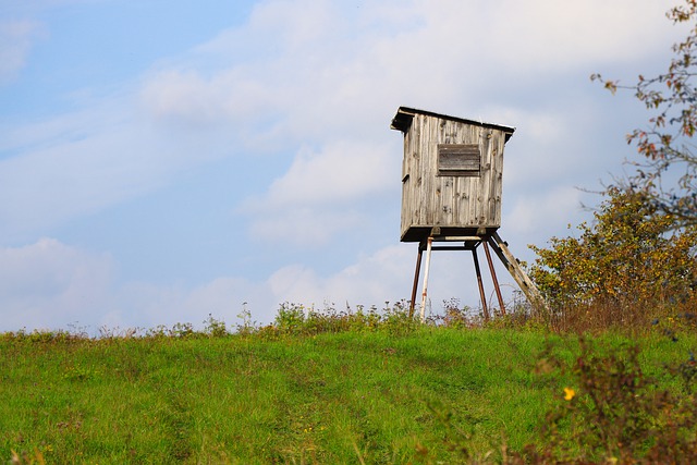 colorbond-shed-640x480-87544827.jpeg