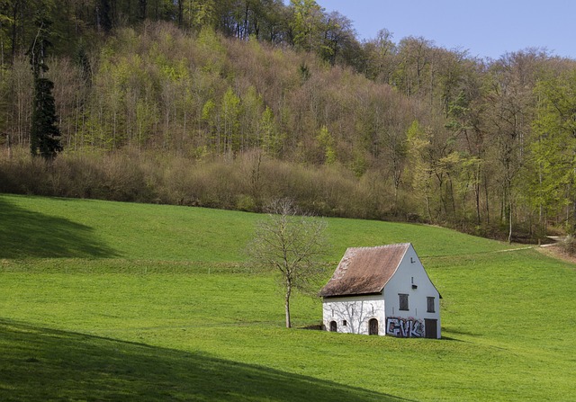 colorbond-shed-640x480-90410375.jpeg