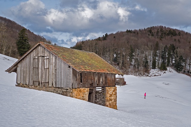 colorbond-shed-640x480-93687524.jpeg