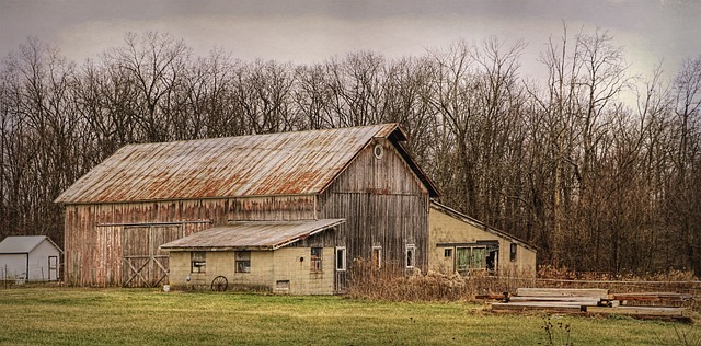 Colorbond Sheds