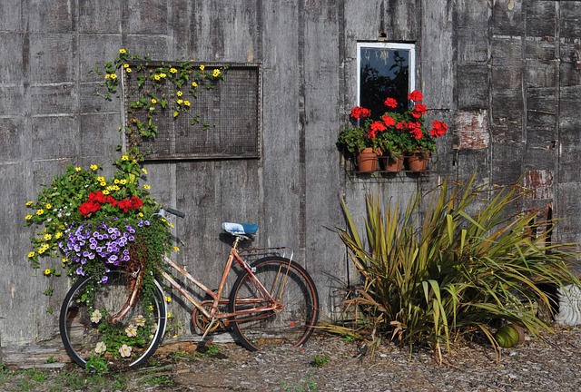 colorbond-sheds-640x480-44324915.jpeg