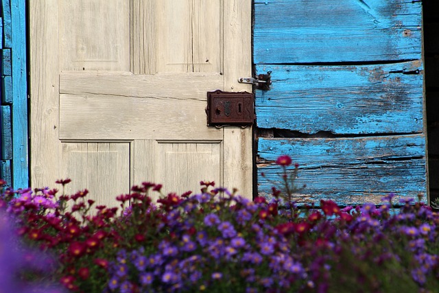 colorbond sheds
