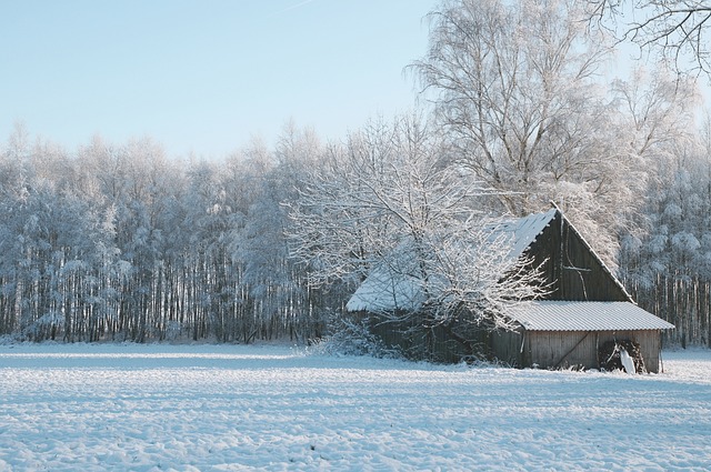 colorbond-sheds-640x480-54112015.jpeg