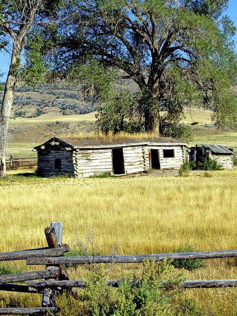 colorbond sheds