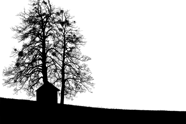 colorbond-sheds-640x480-91386552.png