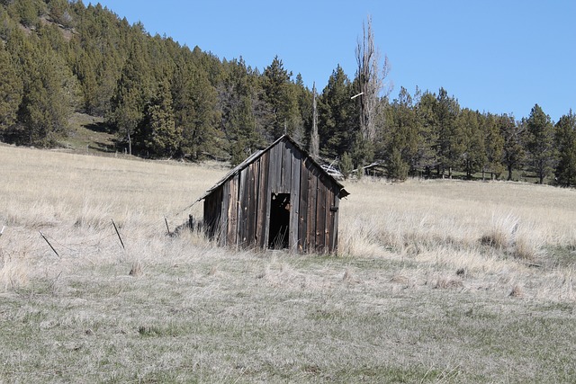 colorbond sheds