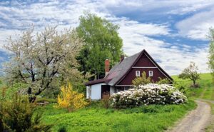 Optimizing Outdoor Spaces with Bathurst Shed Builder’s All-in-One Shed Solutions