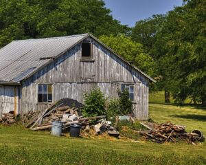 colorbond-sheds-home-sheds-640x480-90459767.jpeg