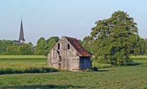 Maximizing Durability: Shed Maintenance Tips for Colorbond Structures in Shepparton