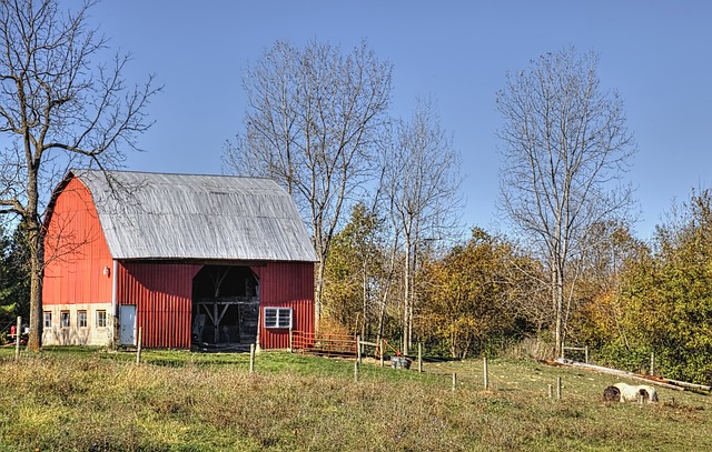 Colorbond Sheds, home sheds, industrial sheds