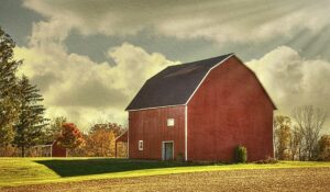 Secure Storage Solutions: Customizing Durable Colorbond Sheds for Rural Properties in Shepparton