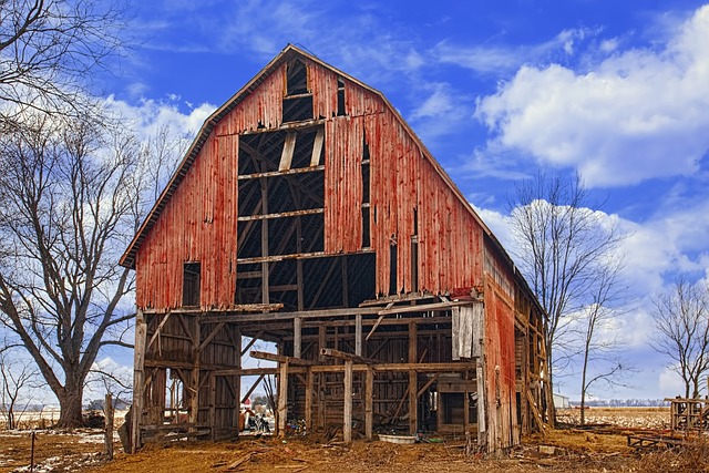 colorbond-sheds-home-sheds-industrial-sh-640x480-76533721.jpeg