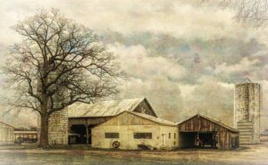 colorbond-sheds-home-sheds-industrial-sh-640x480-89139850.jpeg