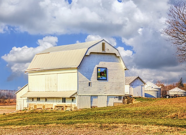 colorbond-sheds-home-sheds-industrial-sh-640x480-89310143.jpeg