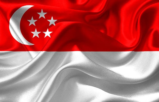 condominium-singapore-640x480-77658778.jpeg