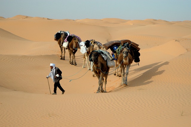family caravan holidays, kids and Caravans, caravans traveling Australia 