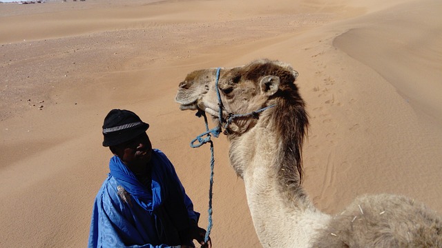 family caravan holidays, kids and Caravans, caravans traveling Australia 