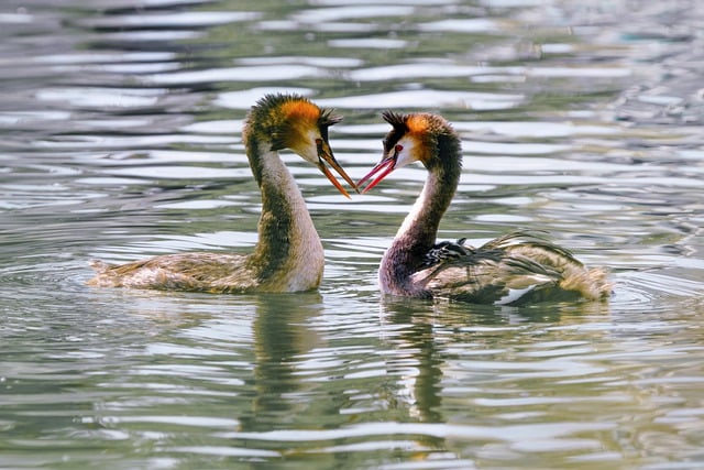 family love, caring for loved ones, funeral
