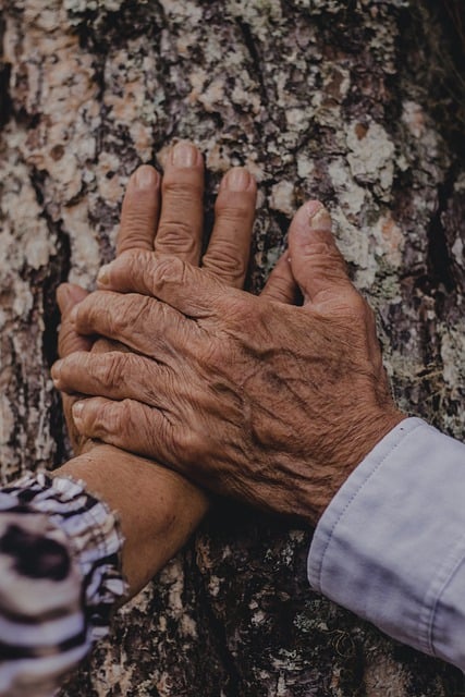 family love, caring for loved ones, funeral