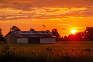 Optimizing Farm Shed Resilience: Adaptive Designs for Wagga Weather