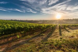 Optimizing Crop Storage with Sturdy Farm Sheds in Lithgow