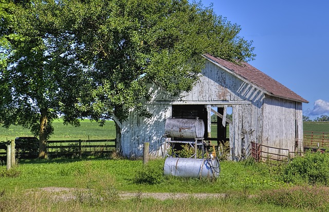Farm Shed, 