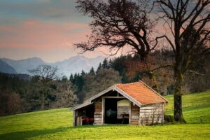 Cost-Saving Farm Shed Strategies for Efficient Livestock Management in Wagga