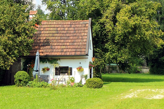 Farm Shed, 