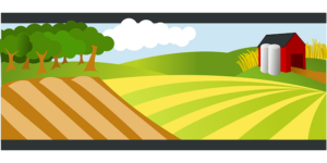 Optimizing Wagga Farm Shed Maintenance: Year-Round Tips for Durability and Efficiency