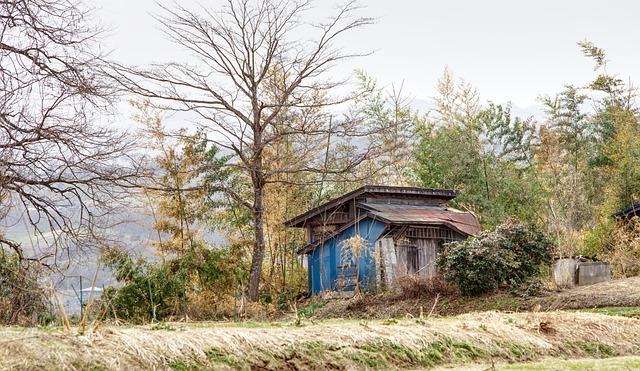 Farm Shed, 