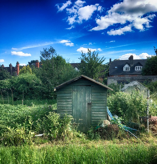Farm Shed, 