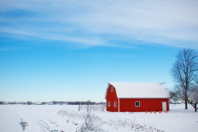 farm-shed-640x480-27209660.jpeg