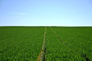 Optimizing Riverina Farm Sheds: Weather Resilience and Crop Protection Strategies