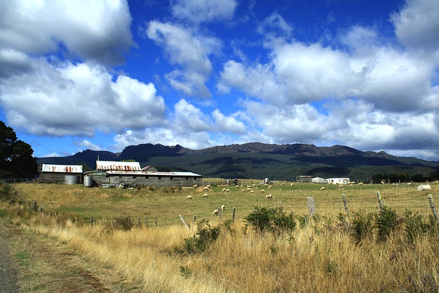 Farm Shed, 