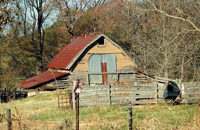 Farm Shed, 