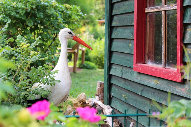 Farm Shed, 
