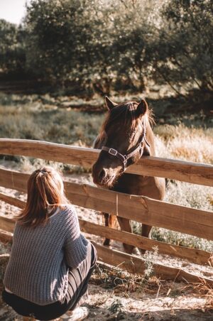 Enhancing Rural Spaces with Robust Farm Shed Solutions in Wagga