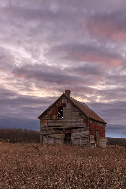 Farm Shed, 