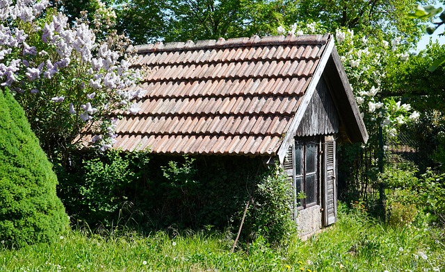 Farm Shed, 