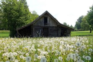 Resilient Farm Shed Designs for Bathurst’s Harsh Climate