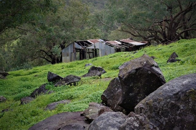 Farm Shed, 