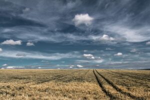 Enhancing Riverina Agriculture with Customizable Livestock Sheds in Wagga Wagga