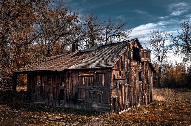 Farm Shed, 